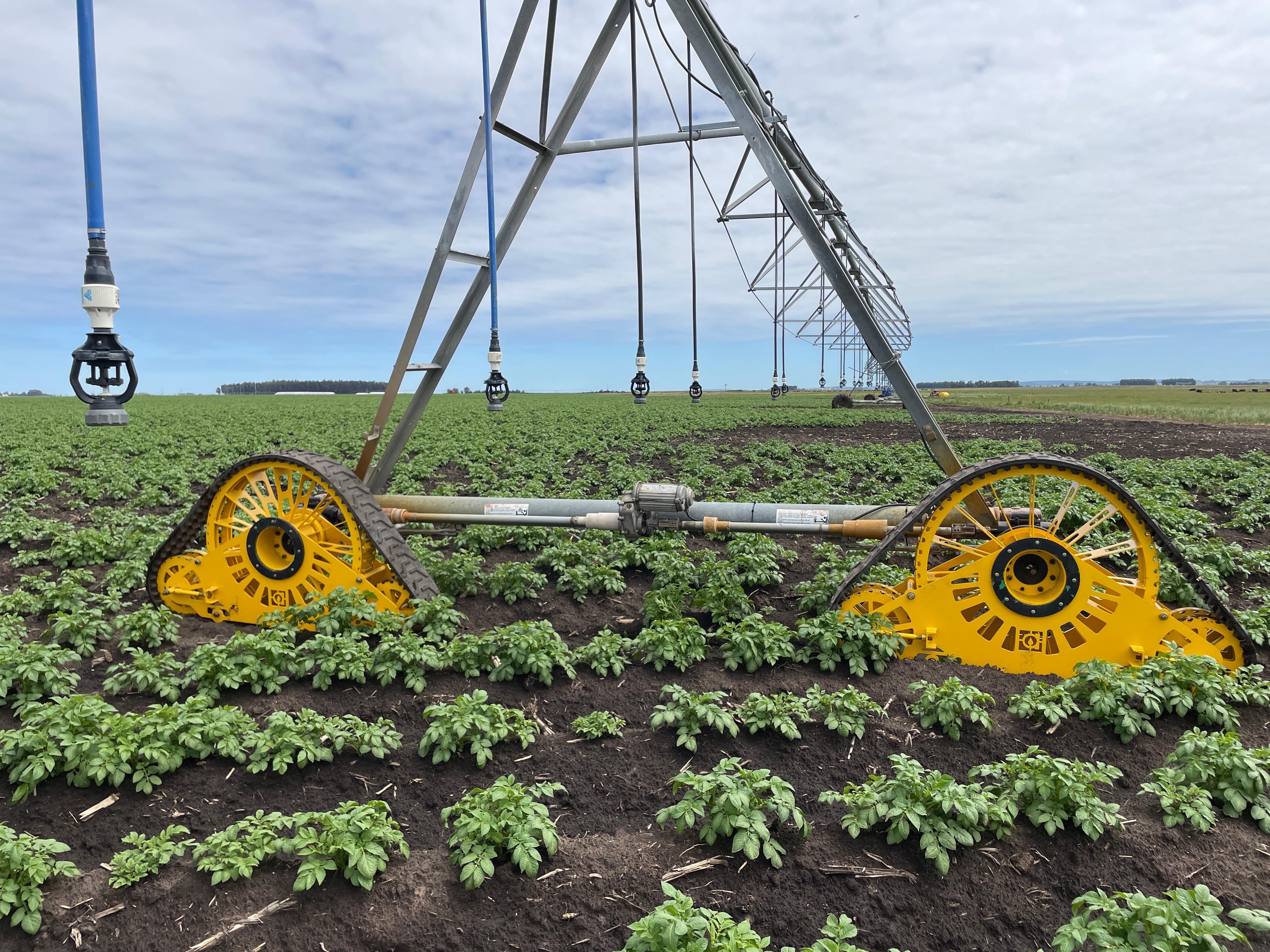 Oruga Gartrak en campo