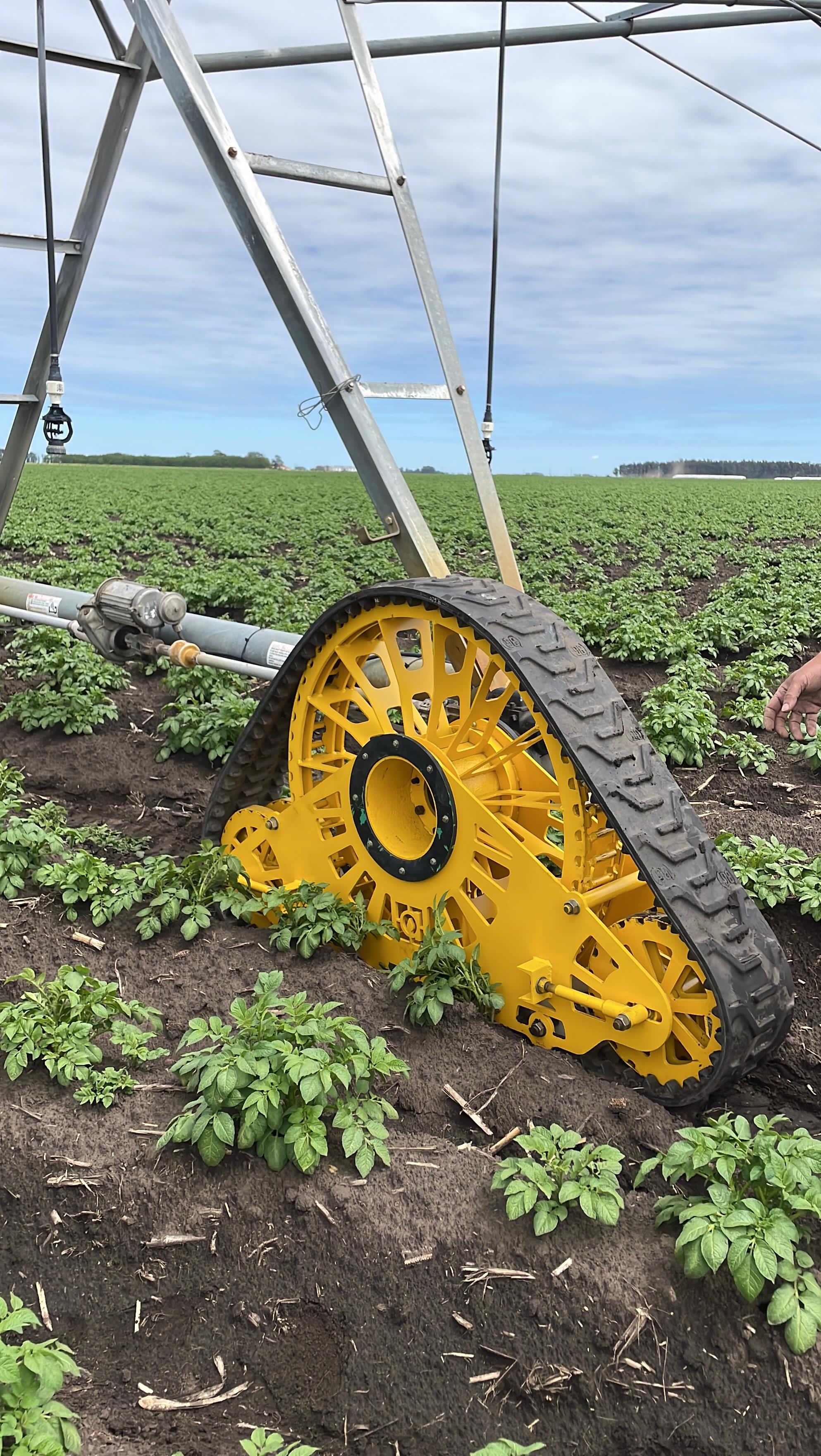 Oruga Gartrak detalle